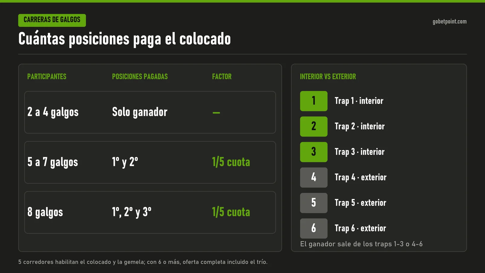Infografía del mercado colocado en galgos: con 2 a 4 galgos solo paga ganador, con 5 a 7 paga 1.º y 2.º y con 8 paga 1.º, 2.º y 3.º, a 1/5 de la cuota; y traps 1 a 3 interiores frente a 4 a 6 exteriores